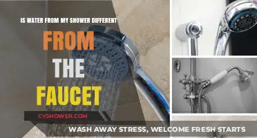Shower vs. Faucet Water: Uncovering the Differences in Your Home