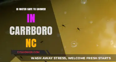 Is Carrboro, NC's Shower Water Safe? A Local's Guide