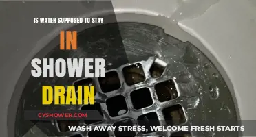 Should Water Remain in Your Shower Drain? Common Concerns Explained