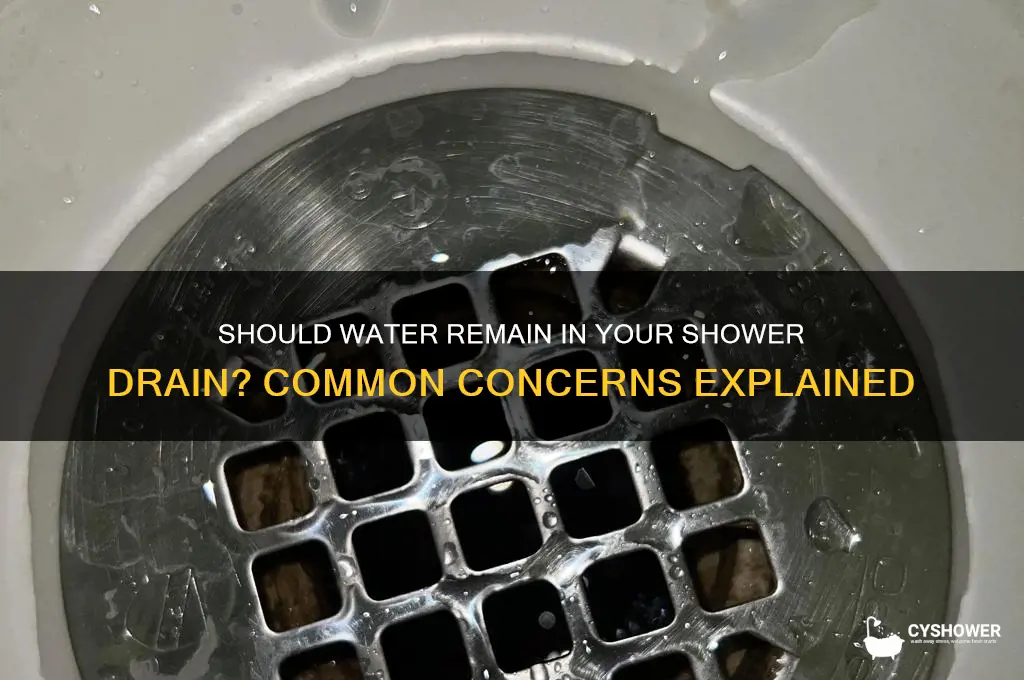 is water supposed to stay in shower drain