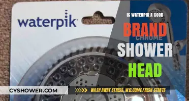 Is Waterpik a Reliable Brand for Shower Heads? A Review