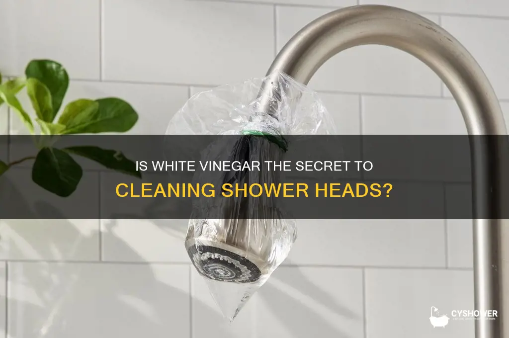 is white vinger good to shower heads