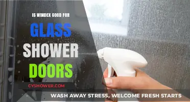 Is Windex Safe and Effective for Cleaning Glass Shower Doors?