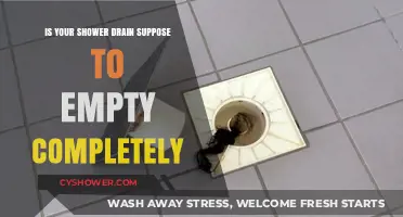 Should Your Shower Drain Empty Completely? Understanding Proper Drainage