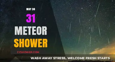 Stargazers' Delight: May 30-31 Meteor Shower Guide and Tips