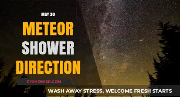 Where to Watch the May 30 Meteor Shower: Direction Guide