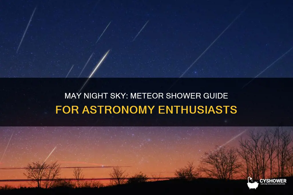 may night sky meteor shower astronomy