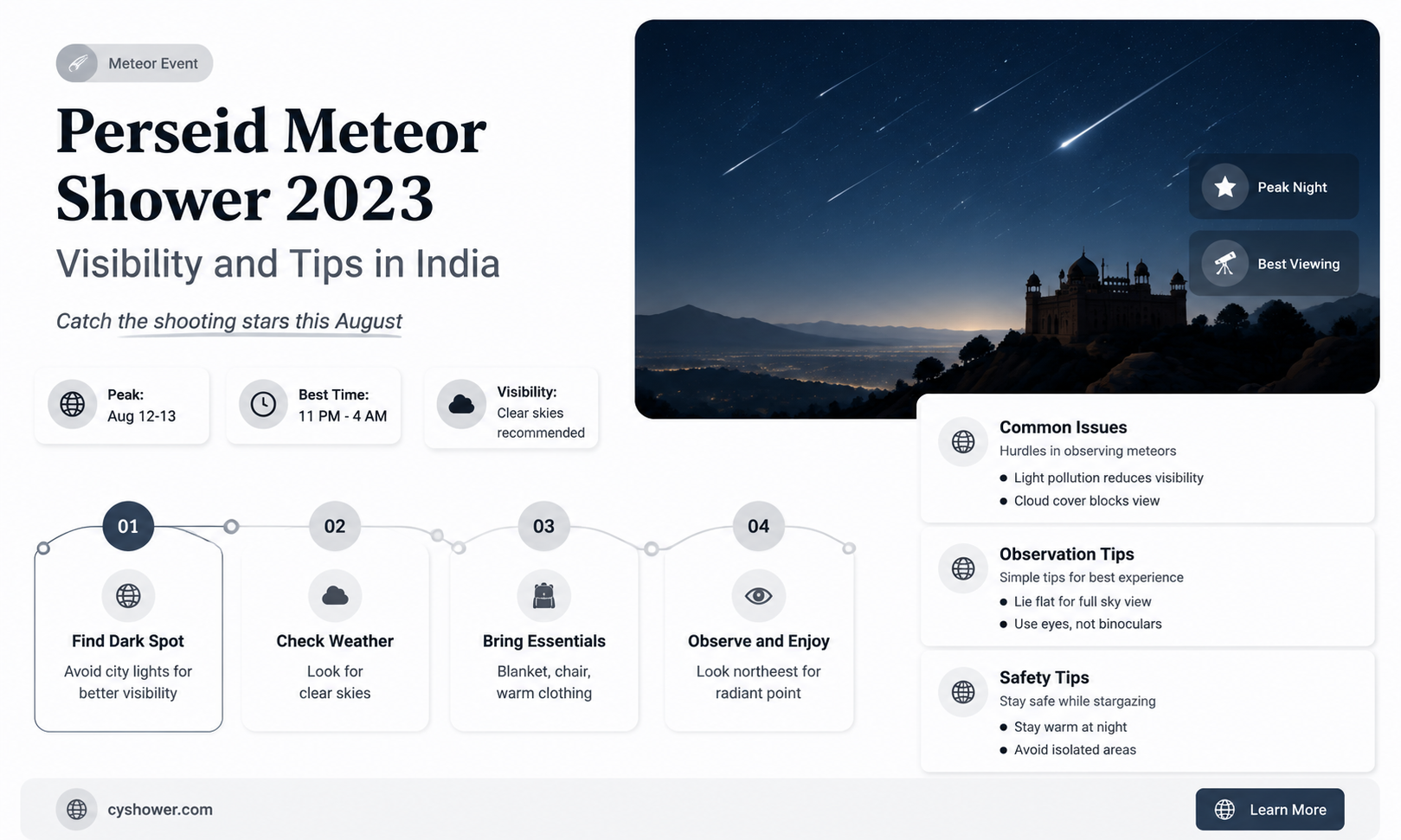 can i see perseid meteor shower in india