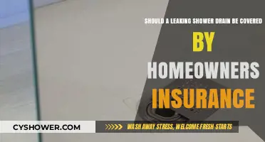 Is a Leaking Shower Drain Covered by Homeowners Insurance?