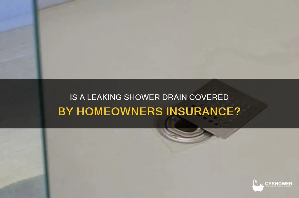should a leaking shower drain be covered by homeowners insurance