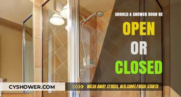 Open or Closed Shower Door: Which Option is Best for You?