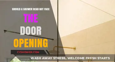 Shower Head Placement: Why Avoid Facing the Door Opening?