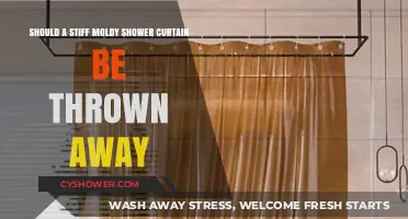 Stiff, Moldy Shower Curtain: Repair or Replace? Expert Advice
