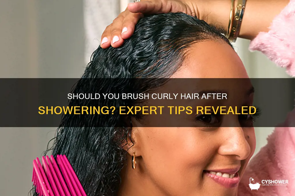 should curly hair be brushed after shower