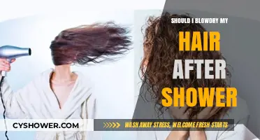 Blow Dry or Air Dry? Post-Shower Hair Care Tips