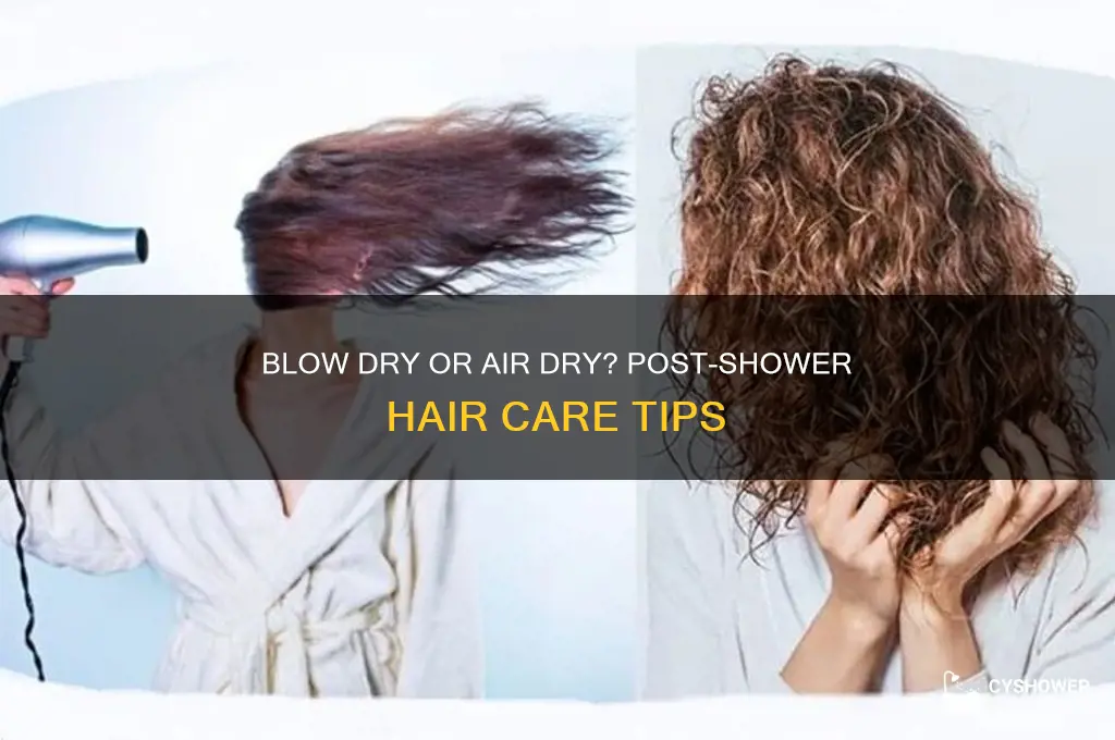should i blowdry my hair after shower