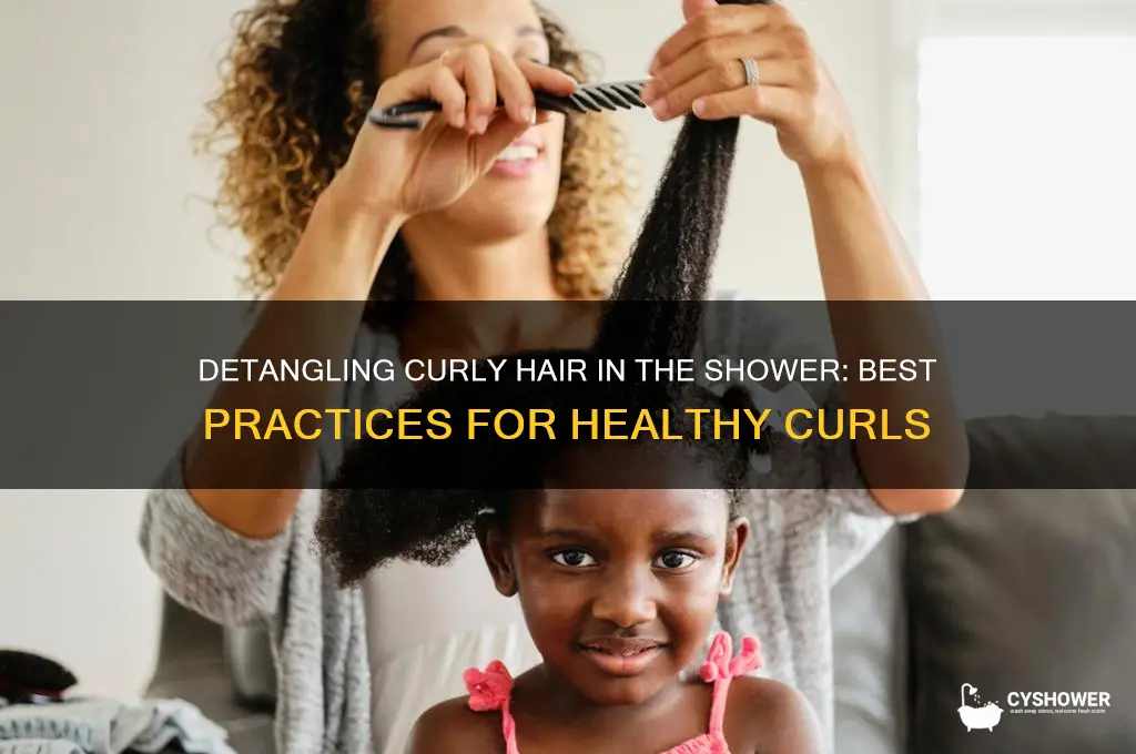 should i detangle my curly hair in the shower