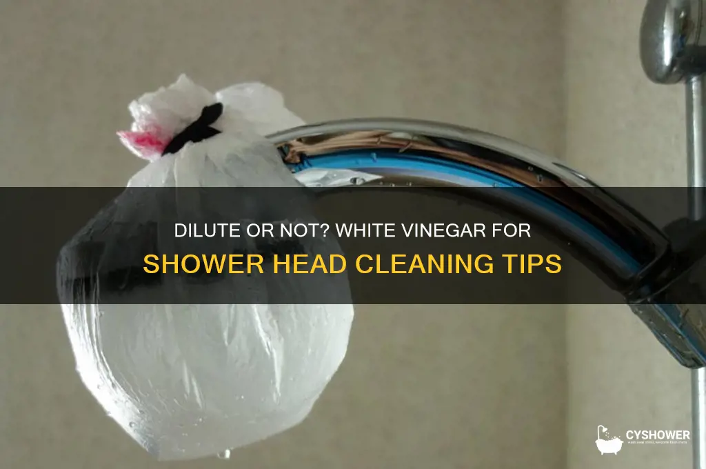should i dilute white vinegar when cleaning a shower head
