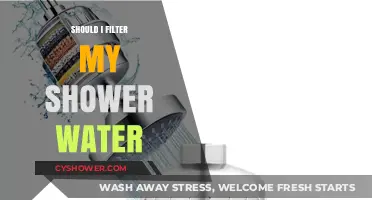 Should You Filter Shower Water? Benefits, Risks, and Expert Advice
