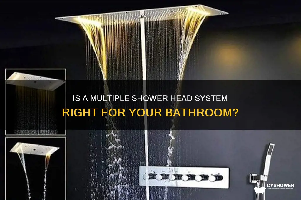 should i get a multiple shower head shower