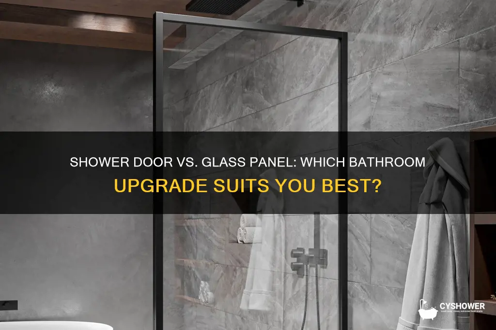 should i get a shower door or glass panel
