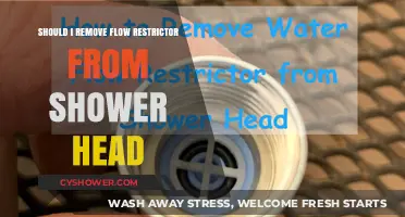 Should You Remove the Flow Restrictor from Your Shower Head?
