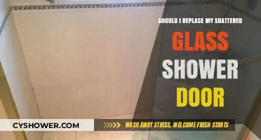 Shattered Glass Shower Door: Repair or Replace? Expert Advice