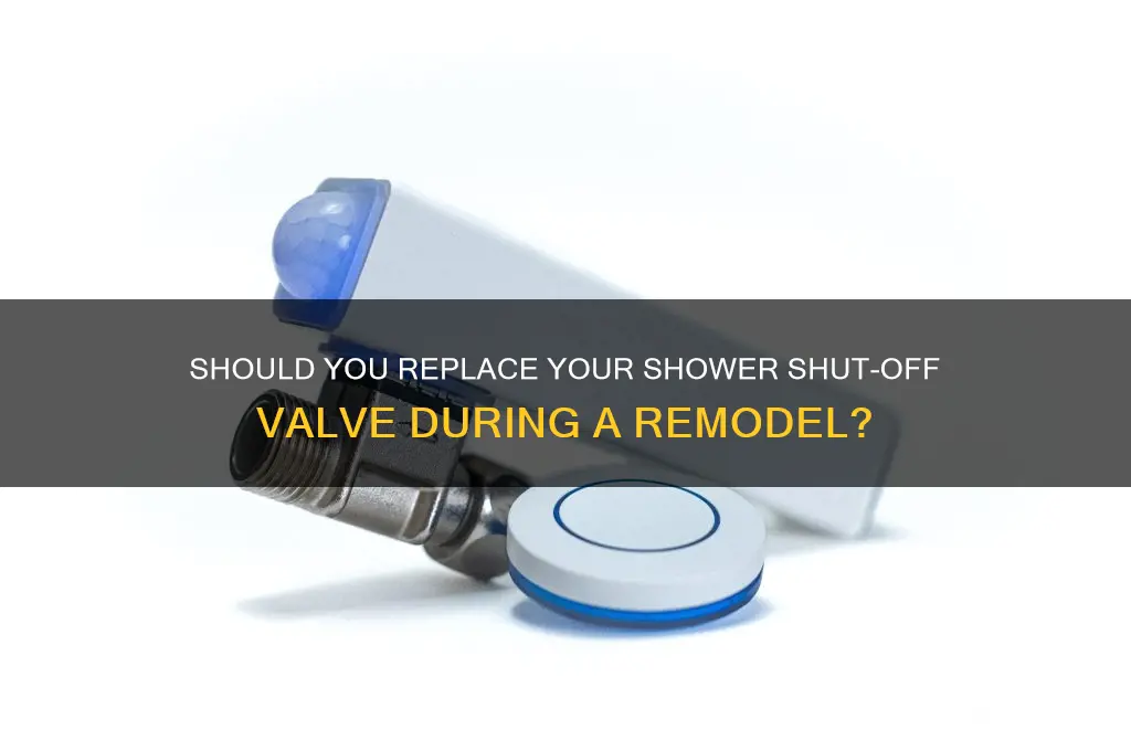 should i replace my shower shut off valve remodel