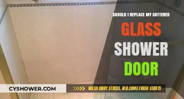 Shattered Glass Shower Door: Repair or Replace? Expert Advice