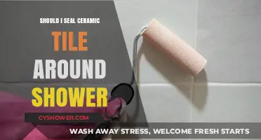 Should You Seal Ceramic Tile Around Your Shower? Pros and Cons