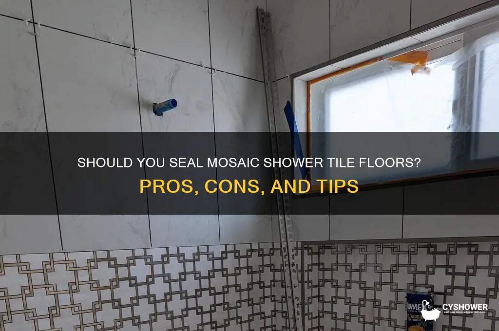 should i seal my mosaic shower tile floor
