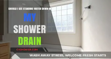 Standing Water in Shower Drain: Causes, Risks, and Quick Fixes