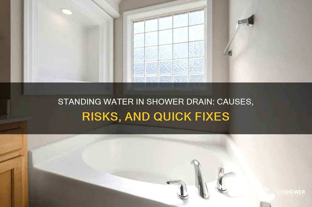 should i see standing water down in my shower drain