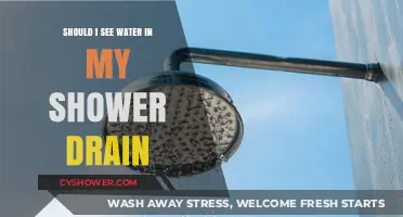 Is Water in Your Shower Drain Normal? Here's What to Know