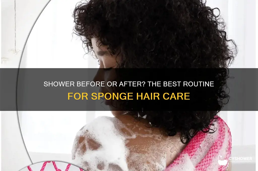 should i take a shower before i sponge my hair