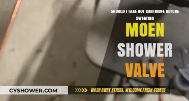 Should You Remove the Cartridge Before Sweating a Moen Shower Valve?