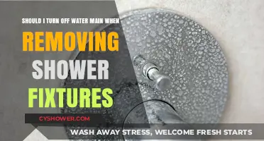 Should You Turn Off the Water Main When Removing Shower Fixtures?