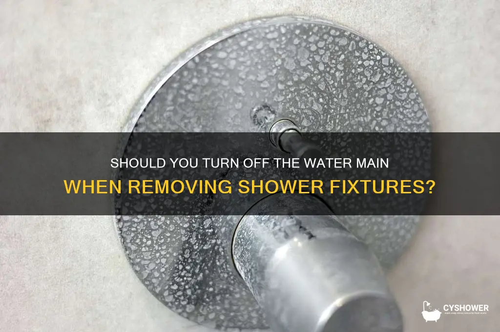 should i turn off water main when removing shower fixtures