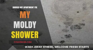 Moldy Shower Dilemma: Landlord's Responsibility or Tenant's Burden?
