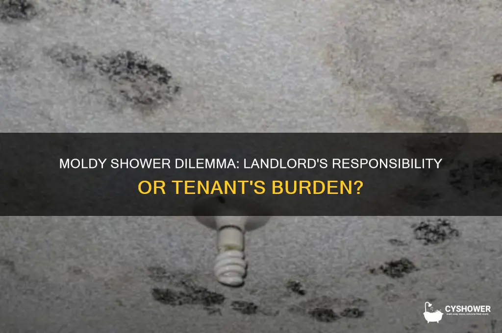 should my apartment fix my moldy shower