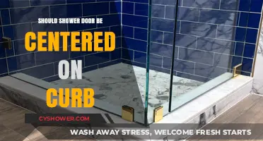 Should Shower Doors Be Centered on the Curb? A Design Dilemma