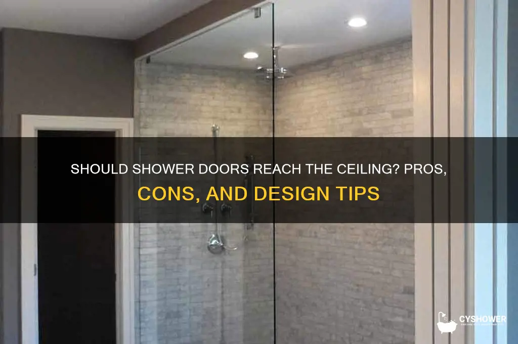 should shower door go to ceiling