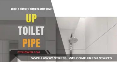 Shower Drain Water in Toilet Pipe: Causes and Solutions