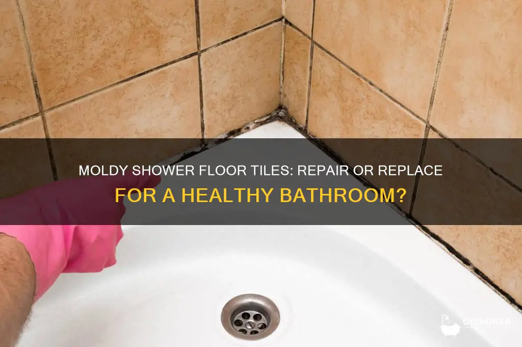 should shower floor tiles with mold be changed