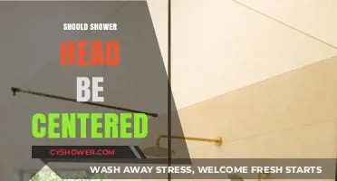 Should Your Shower Head Be Centered? Pros, Cons, and Tips