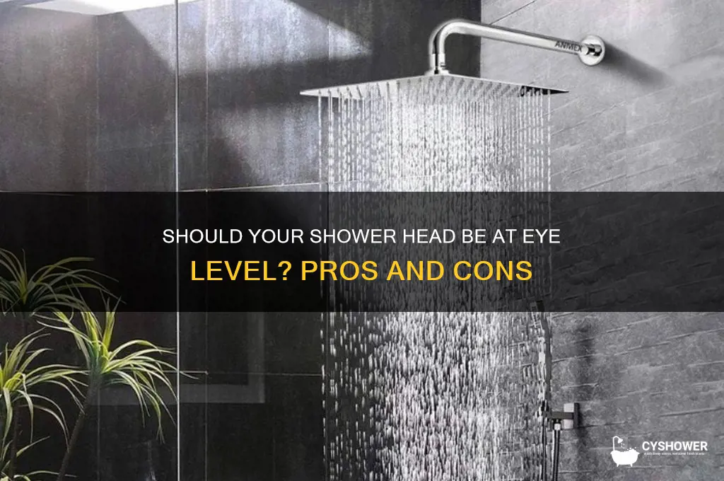 should shower head be eye level