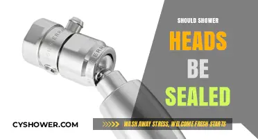 Should Shower Heads Be Sealed? Pros, Cons, and Maintenance Tips