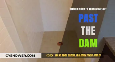 Should Shower Tiles Extend Past the Dam? Pros, Cons, and Best Practices