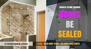 Should Steam Shower Doors Be Sealed? Pros, Cons, and Best Practices