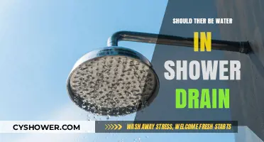 Is Standing Water in Your Shower Drain Normal or a Problem?